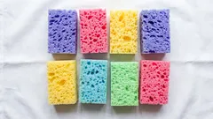 Prečo je potrebné umiestniť špongie na riad do mrazničky a do kvetináča: 10 dôvodov, prečo si kúpiť viac špongií na riad