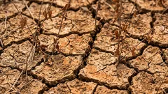 Keď zem povie „dosť“: príznaky, že je čas nechať záhon na pokoji