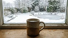 Položíme na parapet hrnček s vodou: Prečo, kto vie?